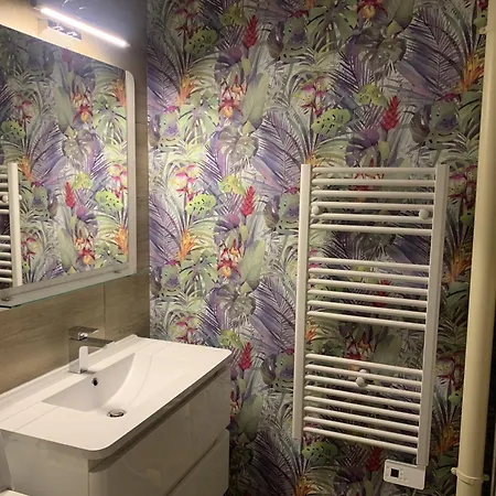 Proche Thermes Saint Roch Avec Wifi Et Animaux Admis - Fr-1-541-134
